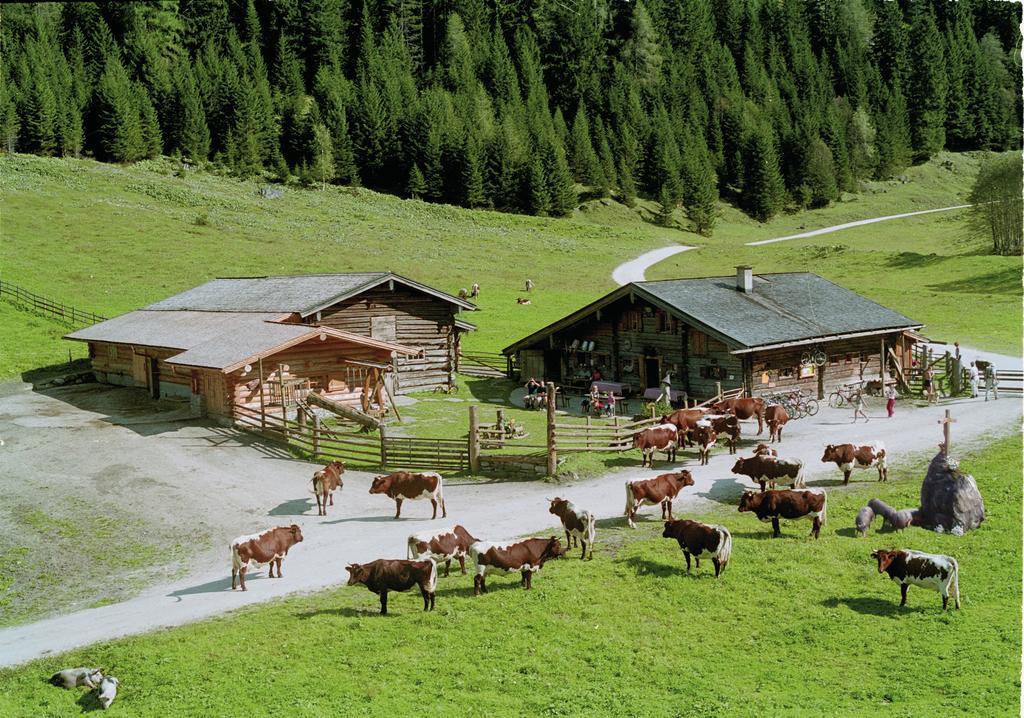 Palfnerhof Appartements Sankt Johann im Pongau Luaran gambar