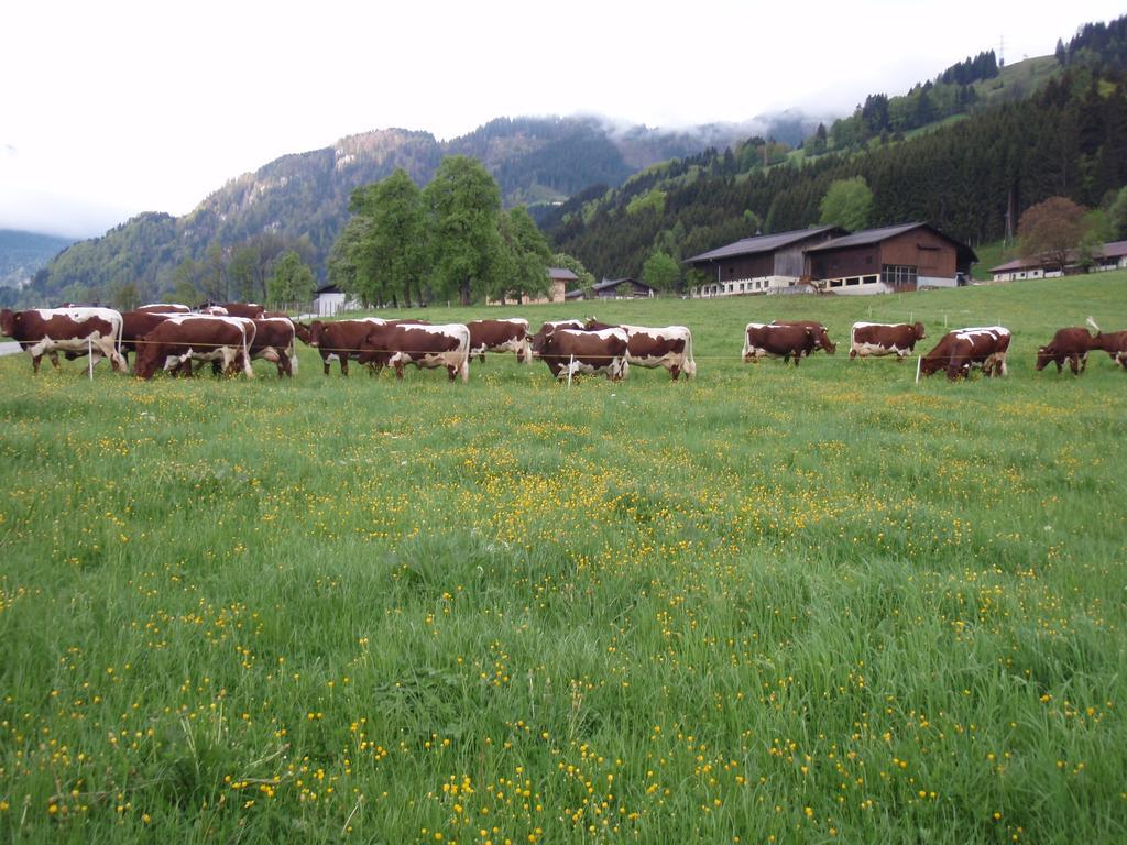 Palfnerhof Appartements Sankt Johann im Pongau Luaran gambar