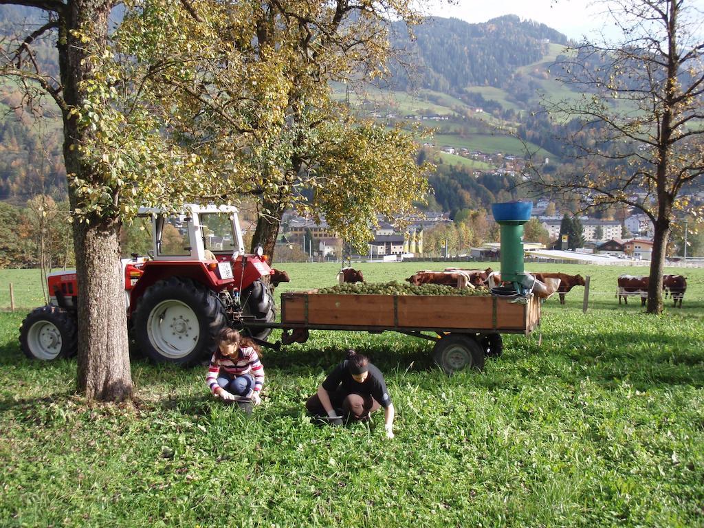 Palfnerhof Appartements Sankt Johann im Pongau Luaran gambar