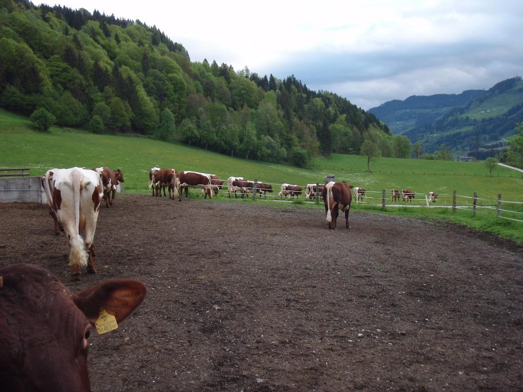 Palfnerhof Appartements Sankt Johann im Pongau Luaran gambar